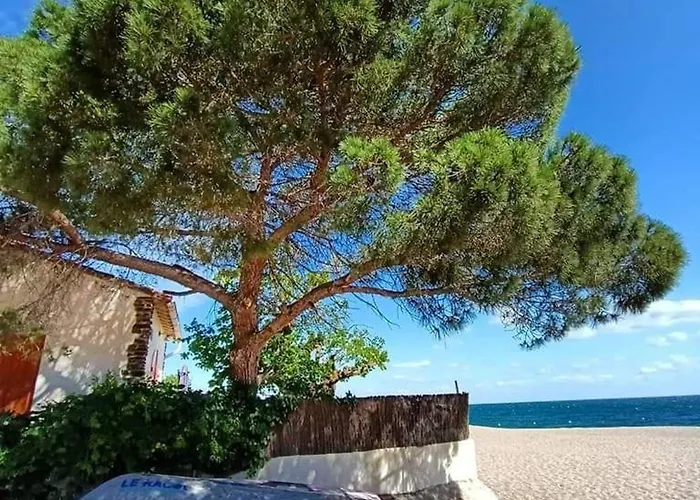 : T2 Climatise Proche - Fr-1-776-20 Argeles-sur-Mer