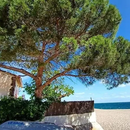 : T2 Climatise Proche - Fr-1-776-20 Argeles-sur-Mer